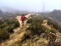 Team Fitunlt| Memorial Day Hike